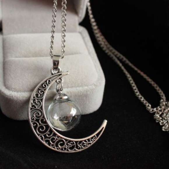 Jewelry - NEW natural dandelion crescent moon necklace